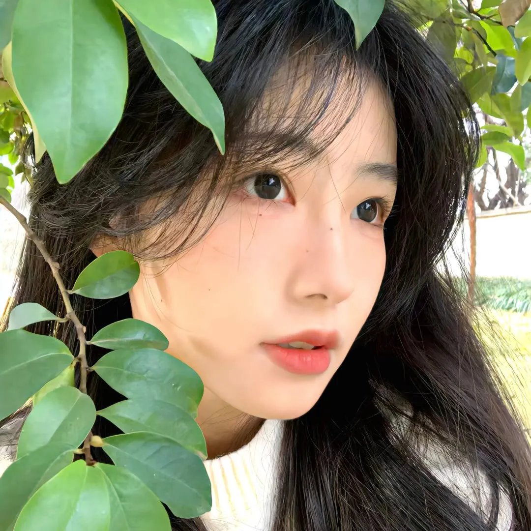 阴差阳错的女演员们2026